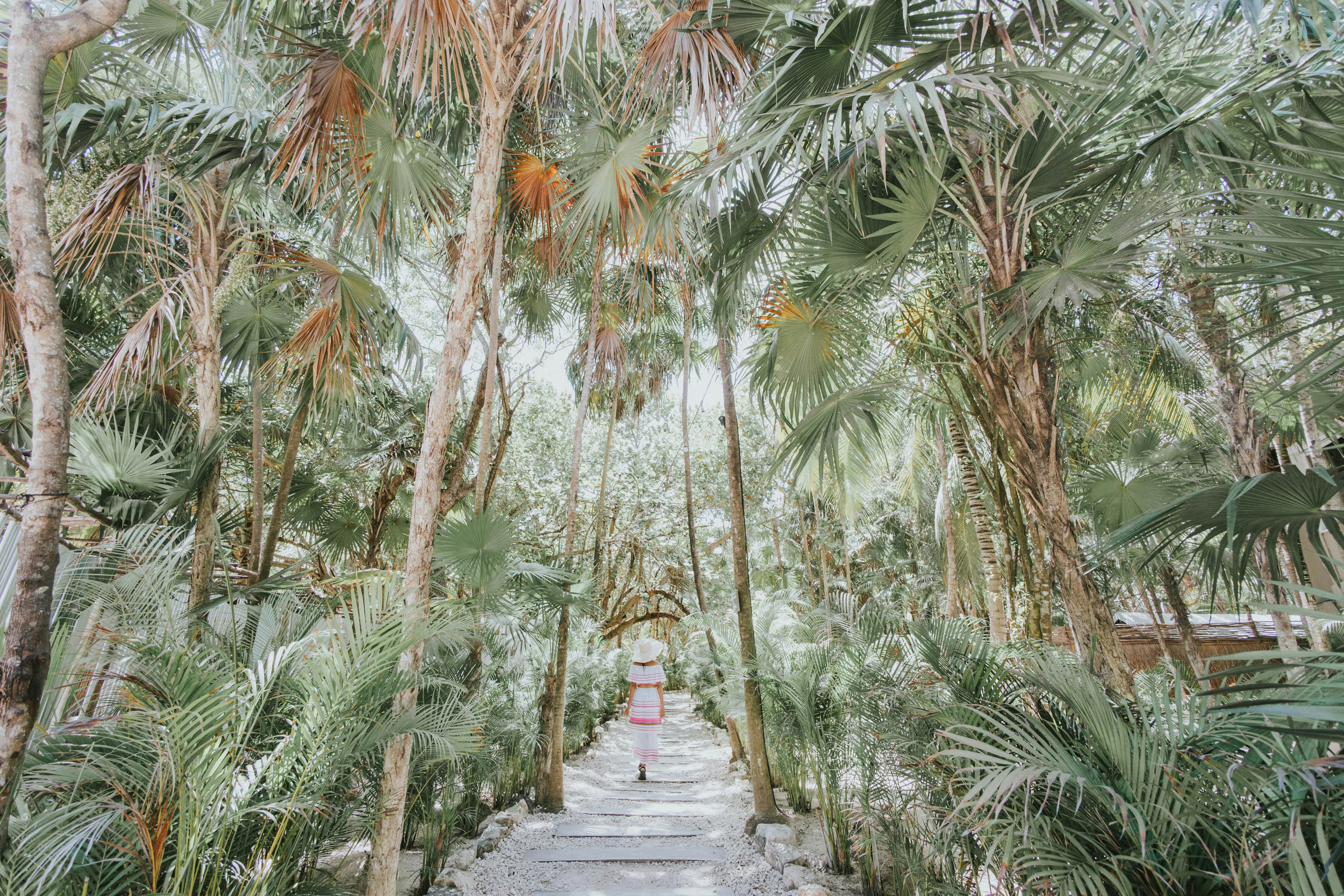 Getting lost in beach paradise!